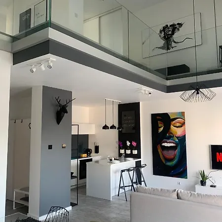 Apartment Two-levels Penthouse With A Garden In The City Center *