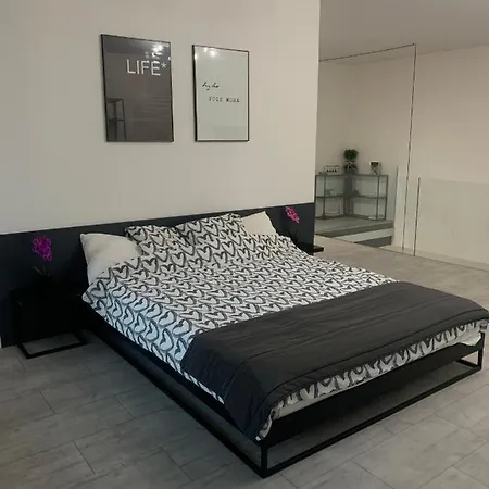 Apartment Two-levels Penthouse With A Garden In The City Center Lodz (Lodz)