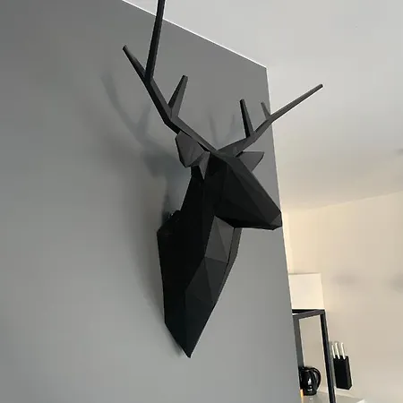 Two-levels Penthouse With A Garden In The City Center Łódź