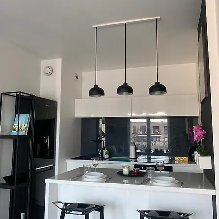 Appartement Two-levels Penthouse With A Garden In The City Center Łódź