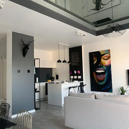 Two-levels Penthouse With A Garden In The City Center