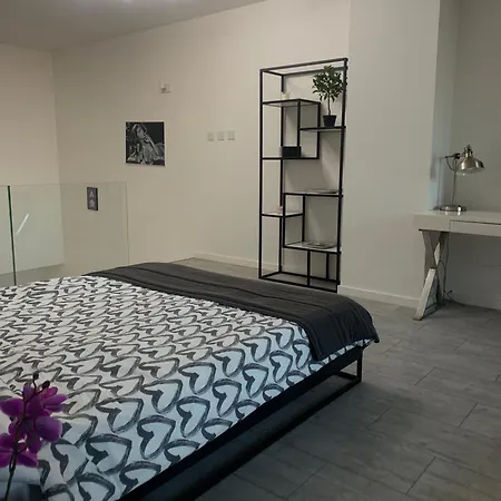 Two-levels Penthouse With A Garden In The City Center Appartement *