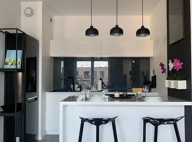 Two-levels Penthouse With A Garden In The City Center 아파트