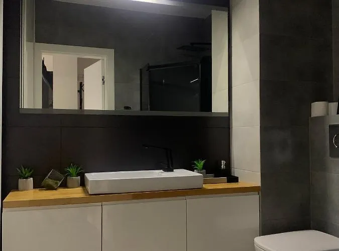 Two-levels Penthouse With A Garden In The City Center