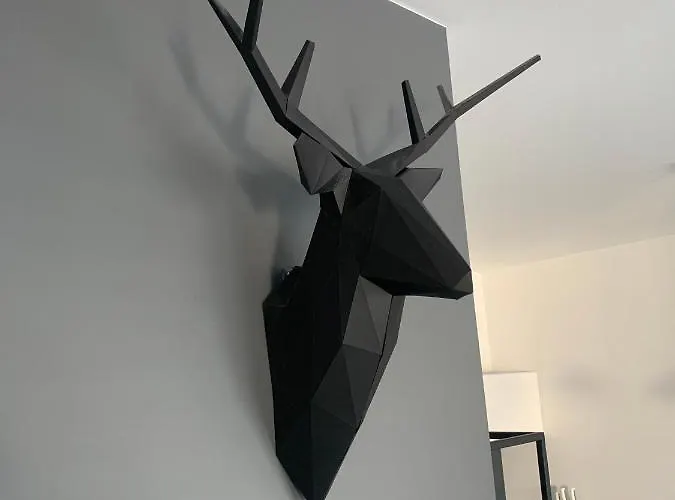 Two-levels Penthouse With A Garden In The City Center Łódź