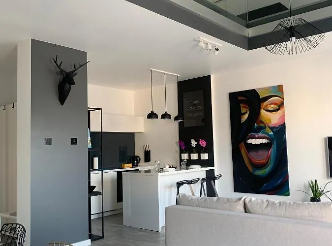 Two-levels Penthouse With A Garden In The City Center